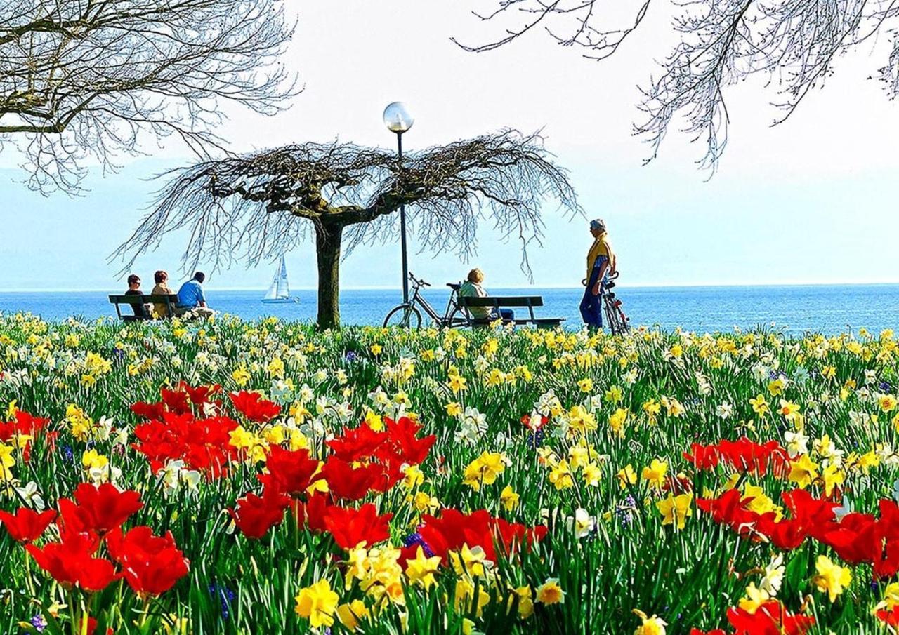Hotel Am Rehberg Lindau  Ngoại thất bức ảnh